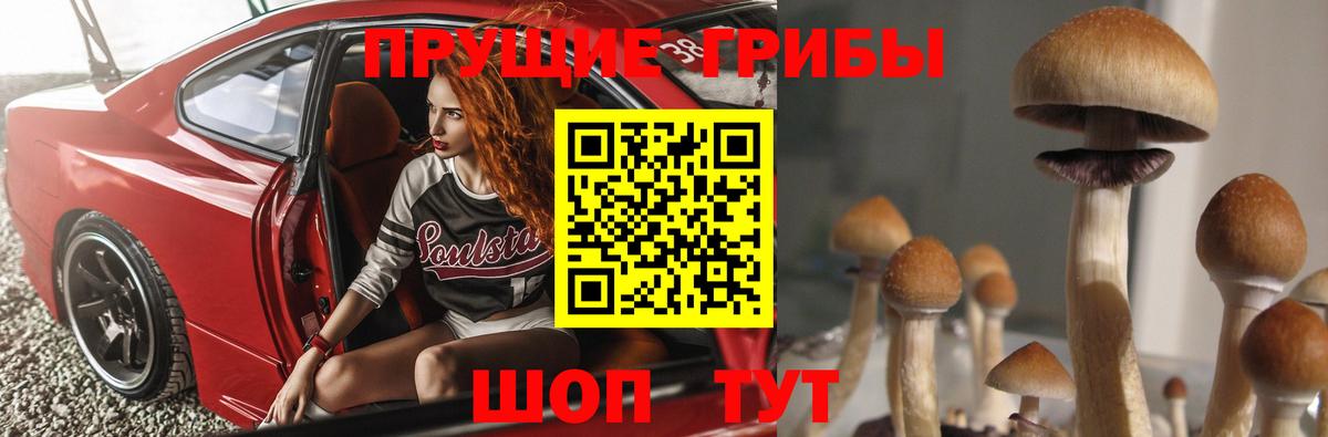 купить наркотик  Галлюциногенные грибы прущие грибы  Вход с VPN  Шебекино 
