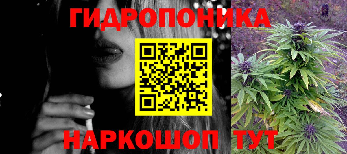 Бошки Шишки план Шебекино